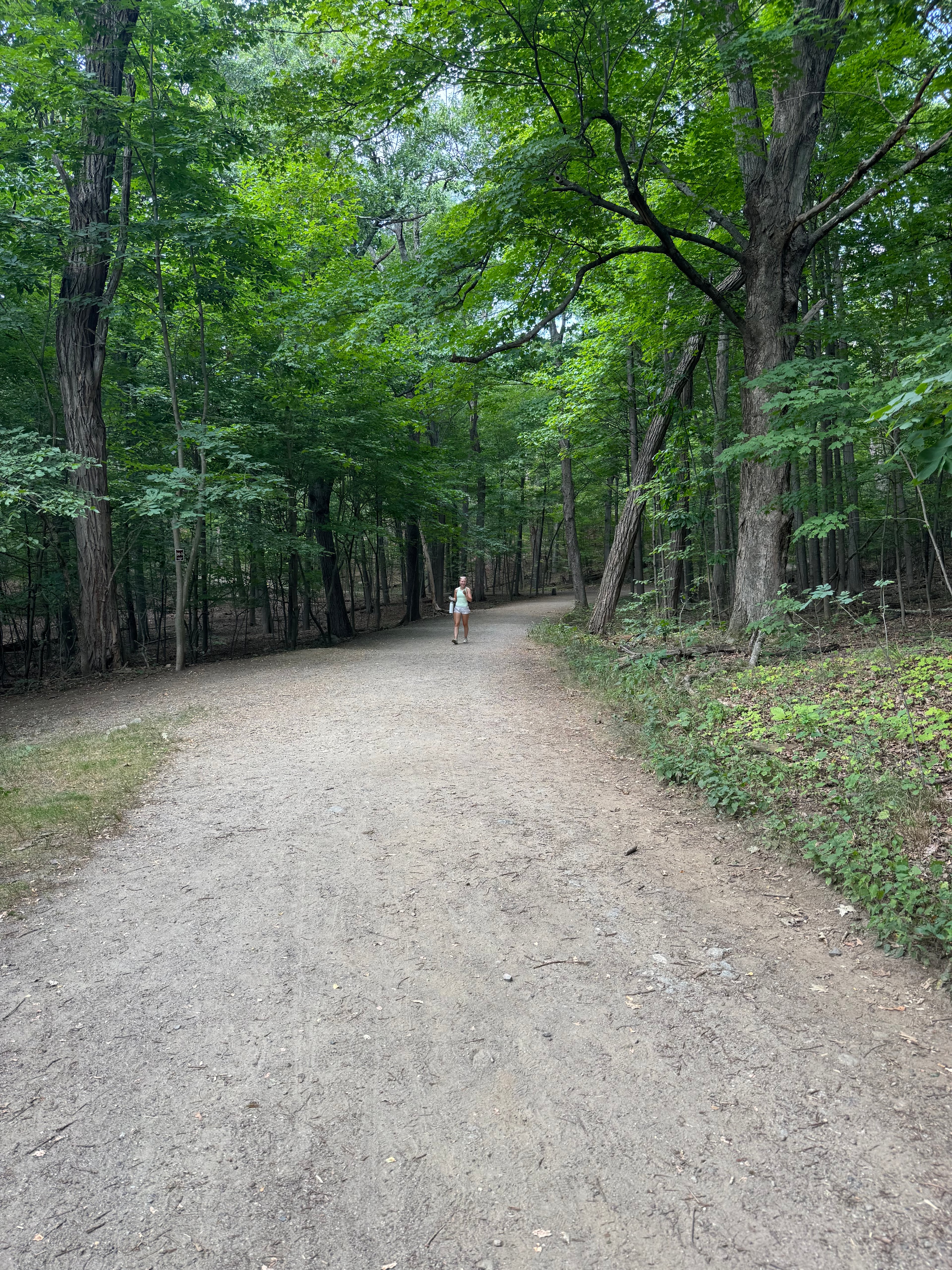 Hiking